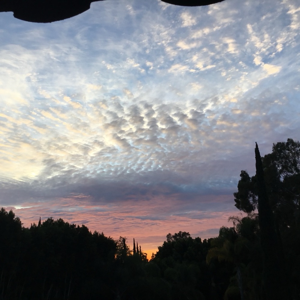 Meet your Posher, 🌞 lis